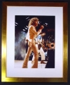 ROGER DALTREY/SIGNED PHOTO/FRAMED/LARGE/COA