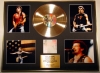 BRUCE SPRINGSTEEN/GIGANTIC CD GOLD DISC & PHOTO DISPLAY/LTD. EDITION/COA/GREATEST HITS