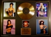 CHER/CD GOLD DISC/RECORD/& PHOTO DISPLAY/LTD. EDITION/COA/THE GREATEST HITS