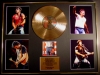 BRUCE SPRINGSTEEN/CD GOLD DISC/RECORD/& PHOTO DISPLAY/LTD. EDITION/COA/BORN IN THE USA