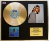 NIRVANA/CD GOLD DISC & PHOTO DISPLAY/LTD. EDITION/COA/ALBUM 'NEVERMIND'