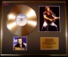 BRUCE SPRINGSTEEN/CD GOLD DISC & PHOTO DISPLAY/LTD. EDITION/COA/ALBUM 'WORKING ON A DREAM'