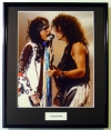 AEROSMITH/FRAMED