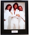 BEE GEES/FRAMED PHOTO