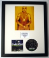 EMINEM/PHOTO & CD DISPLAY LTD. EDITION OF THE ALBUM CURTAIN CALL