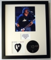 FOO FIGHTERS/PHOTO & CD DISPLAY LTD. EDITION OF THE ALBUM ONE BY ONE
