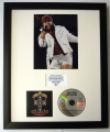 GUNS N' ROSES/PHOTO & CD DISPLAY LTD. EDITION OF THE ALBUM APPETITE FOR DESTRUCTION