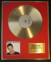 RICKY MARTIN/LTD. EDITION CD GOLD DISC/RECORD/RICKY MARTIN