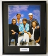 THE BEACH BOYS/FRAMED PHOTO (1)