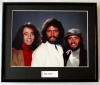 THE BEE GEES/FRAMED PHOTO (2)
