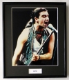 BONO/FRAMED PHOTO (2)
