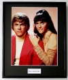 THE CARPENTERS/FRAMED PHOTO (1)