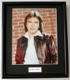 DAVID CASSIDY/PHOTO FRAMED