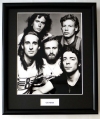 GENESIS/FRAMED PHOTO (1)