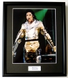 MICHAEL JACKSON/FRAMED PHOTO (1)