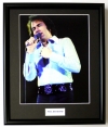 NEIL DIAMOND/FRAMED PHOTO (4)