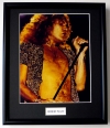 ROBERT PLANT/FRAMED PHOTO (1)