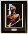 PAUL WELLER/FRAMED PHOTO (1)