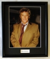 ROD STEWART/FRAMED PHOTO (1)