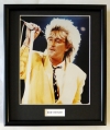 ROD STEWART/FRAMED PHOTO (2)