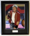 ROD STEWART/FRAMED PHOTO (5)