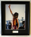 ROD STEWART/FRAMED PHOTO (7)
