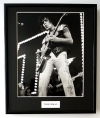 MARC BOLAN/PHOTO/FRAMED (2)