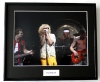 VAN HALEN/PHOTO/FRAMED (2)