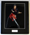 ELVIS PRESLEY/PHOTO/FRAMED (8)