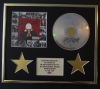 JA RULE/CD DISPLAY/LIMITED EDITION/COA/PAIN IS LOVE