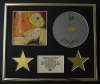 KORN/CD DISPLAY/LIMITED EDITION/COA/ISSUES