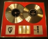 FOO FIGHTERS/DOUBLE CD GOLD DISC DISPLAY/LTD. EDITION/COA/