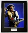 LENNY KRAVITZ/FRAMED PHOTO