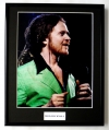 MICK HUCKNALL/FRAMED PHOTO