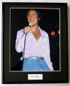 PAUL ANKA/FRAMED PHOTO