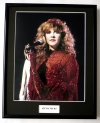 STEVIE NICKS/FRAMED PHOTO
