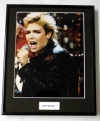 KIM WILDE/FRAMED PHOTO