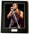 SEAL/FRAMED PHOTO