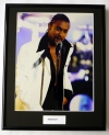 SHAGGY/FRAMED PHOTO