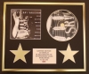 STEVIE RAY VAUGHAN/CD DISPLAY/ LIMITED EDITION/COA/A TRIBUTE TO