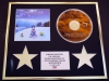 DREAM THEATER/CD DISPLAY/ LIMITED EDITION/COA/A CHANGE OF SEASONS