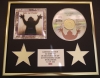 JOHN LEE HOOKER/CD DISPLAY/ LIMITED EDITION/COA/THE HEALER