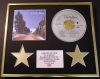 CHRIS REA/CD DISPLAY/LIMITED EDITION/THE BEST OF CHRIS REA