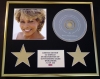 TINA TURNER/CD DISPLAY/LIMITED EDITION/WILDEST DREAMS
