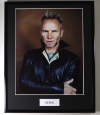 STING/FRAMED PHOTO