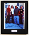 METALLICA/FRAMED