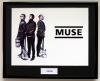 MUSE (3)/FRAMED