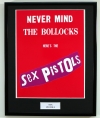 SEX PISTOLS/FRAMED