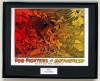 FOO FIGHTERS/FRAMED
