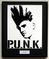 PUNK/FRAMED